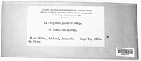 Image Associated With the Occurence